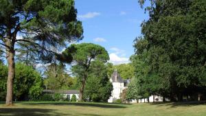 a house in the middle of a field with trees at Château de Morin in Puch-dʼAgenais