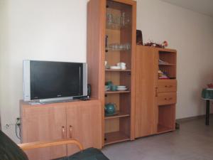 a tv on a wooden cabinet with a entertainment center at De Panne Plaza in De Panne