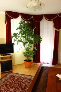 uma sala de estar com um vaso de árvore em frente às janelas em Kálmán Panzió em Szeged