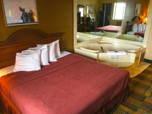 Habitación de hotel con cama y espejo grande en Americas Best Value Inn-Livonia/Detroit en Livonia