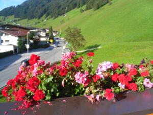 Un paisaje natural cerca of the bed and breakfast