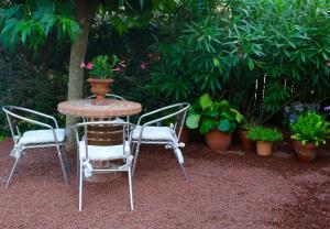 Vonkajšia záhrada v ubytovaní Casa Rosa Garden House