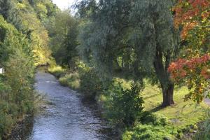 a river with trees on the side of it at Old Bridge End in Jedburgh