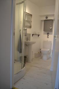 een badkamer met een glazen douche en een toilet bij Old Bridge End in Jedburgh