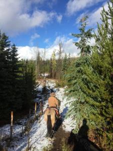 Montana Hill Guest Ranch v zimě