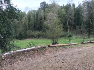 una fila de troncos en un campo con árboles en Cabaña Lago Villarrica ideal 2 familias, en Villarrica