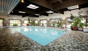 a large swimming pool in a room with plants at Marmot Lodge Jasper in Jasper