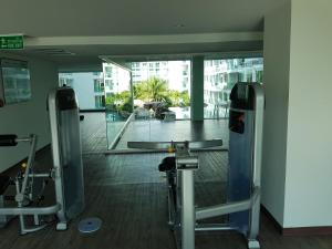 Fitness centrum a/nebo fitness zařízení v ubytování Amazon Matrix by S&D