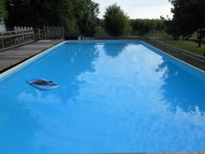 The swimming pool at or close to Agriturismo Taglio del Re