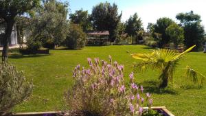 A garden outside Agriturismo Taglio del Re