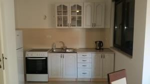 Kuchyň nebo kuchyňský kout v ubytování M&M Apartman 2