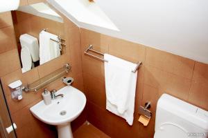 Koupelna v ubytování Pensiunea Agroturistica Sophia + 19 fotografií