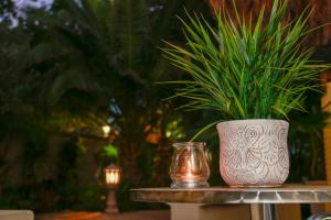 a plant in a vase on a table with a candle at Poetry Guestrooms in Vryburg