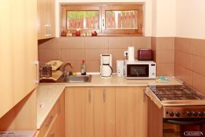 Kuchyň nebo kuchyňský kout v ubytování Pensiunea Agroturistica Sophia