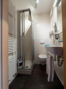 a bathroom with a shower and a sink and a toilet at Hotel Braun in Fahr