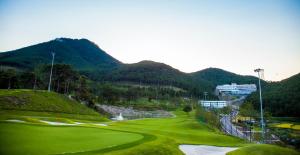 Cảnh núi rừng hoặc tầm nhìn ra núi từ resort