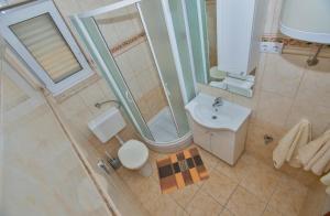 a bathroom with a shower and a toilet and a sink at Apartments Viola Superior in Promajna