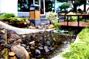 Zahrada ubytování Avada Hotel