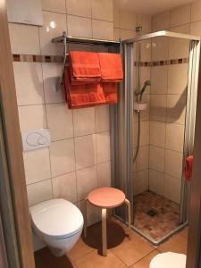 uma casa de banho com um WC, um chuveiro e um banco em Haus Ostermann em Cochem