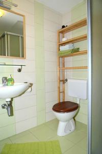 łazienka z toaletą i umywalką w obiekcie Apartmaji Rabič w Bohinju