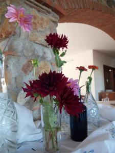 Fotografie z fotogalerie ubytování Villa Loreto v destinaci Alghero
