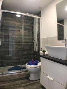 a bathroom with a shower and a toilet and a sink at Apartment Enjoy Corralejo in Corralejo