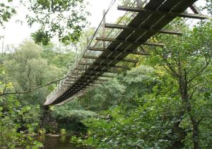 a suspension bridge over a river in a forest at Dolifor in Llanwrthwl