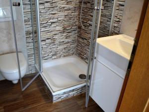 a shower with a sink and a toilet in a bathroom at Hotel-Gasthof Rotes Roß in Markt Einersheim