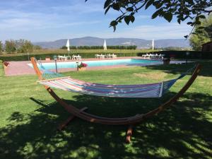 The swimming pool at or close to Fattoria Borgonuovo