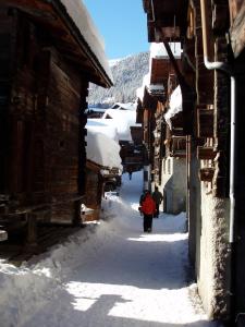 Chalet Etoile during the winter