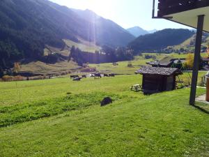 Peisaj natural din apropierea acestui apartament