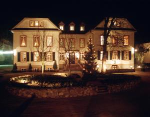 une grande maison blanche avec un arbre de Noël en face dans l'établissement Herrenhaus von Löw, à Bad Nauheim