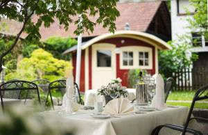 Zahrada ubytování Hotel-Gasthaus Adler