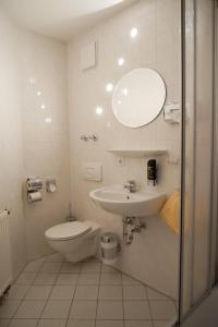 a bathroom with a sink and a toilet and a mirror at Hotel Garni Brauhof Niederwiesa in Niederwiesa
