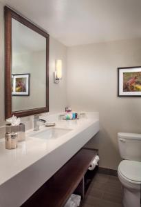 a bathroom with a sink and a toilet and a mirror at Crowne Plaza Phoenix Airport - PHX by IHG in Phoenix