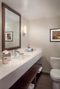 a bathroom with a toilet, sink and mirror at Crowne Plaza Phoenix Airport, an IHG Hotel in Phoenix