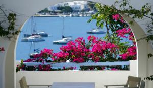 a window with pink flowers and boats in the water at Paros Paradise Apartments in Parikia