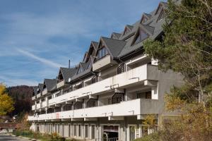 プレデアルにあるSia Mountain Apartmentの黒屋根のアパートメント