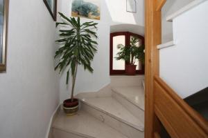 Fotografie z fotogalerie ubytování Marjan apartment & rooms ve Splitu