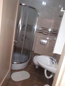 Koupelna v ubytování Apartman Ana