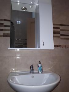 Koupelna v ubytování Apartman Ana