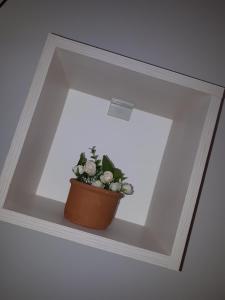 Fotografie z fotogalerie ubytování Apartman Ana v destinaci Aranđelovac