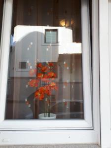 Fotografie z fotogalerie ubytování Apartman Ana v destinaci Aranđelovac