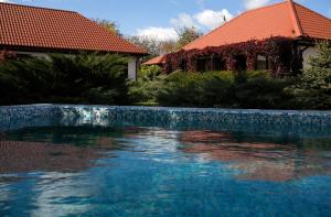 Der Swimmingpool an oder in der Nähe von Guest House Orlinoe - Sevastopol