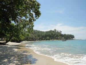 a beach with trees and the ocean and a boat at Nyang Ebay Surf Camp Siberut E"bay 1 minute walking Beng-Beng 5 minute walking,Pitstop 10 minute walking nipussy 1 hour walking short walking only minute distances from our place in Masokut