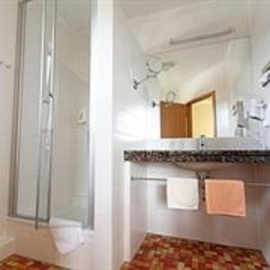 a bathroom with a shower and a sink and a mirror at Hotel und Landgasthof Zum Bockshahn in Spessart