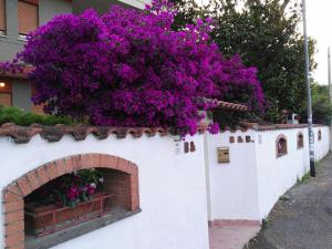Una pared blanca con flores púrpuras. en B&B Domus Gratiae, en Ostia Antica