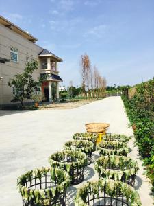 清心慢漫民宿 外面的花园