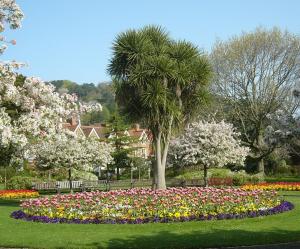 a park with a flower garden with a palm tree at Baytree in Minehead
