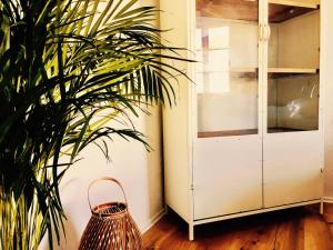 a plant sitting next to a white cabinet at Boutique Hotel Morgentau in Passau